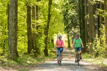 Zwei Radfahrer radeln durch einen Laubwald