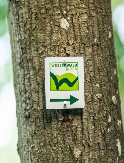 Logo WesterwaldSteig an einem Baum