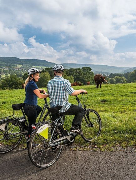 Radfahrer machen Pause an einer Kuhweide auf dem Weg zur Nistermühle und genießen den Weitblick