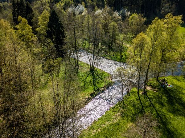 [Translate to Englisch:] Nisterzusammenfluss Kroppacher Schweiz