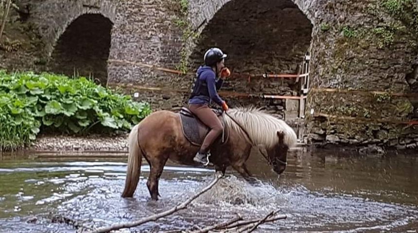 Ein Reiter mit seinem Pferd in der Nister